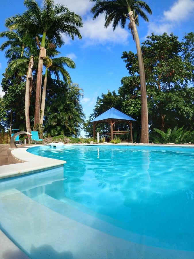 Gite Kaz A Topaze, Piscine, Jardin Tropical サント・ローズ エクステリア 写真