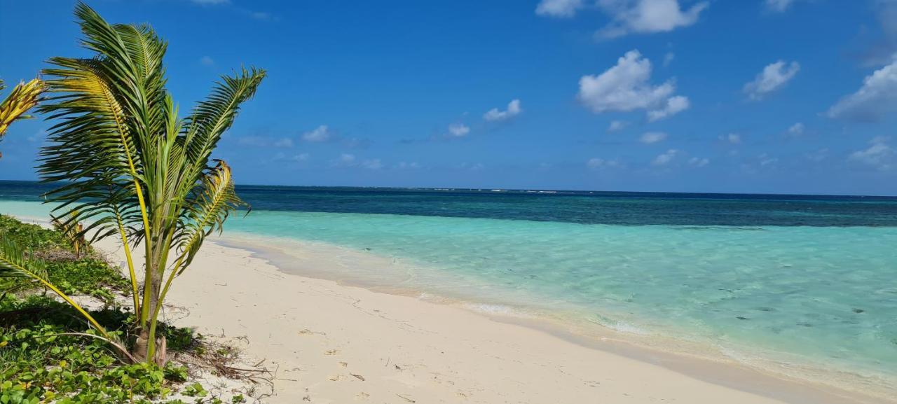 Gite Kaz A Topaze, Piscine, Jardin Tropical サント・ローズ エクステリア 写真