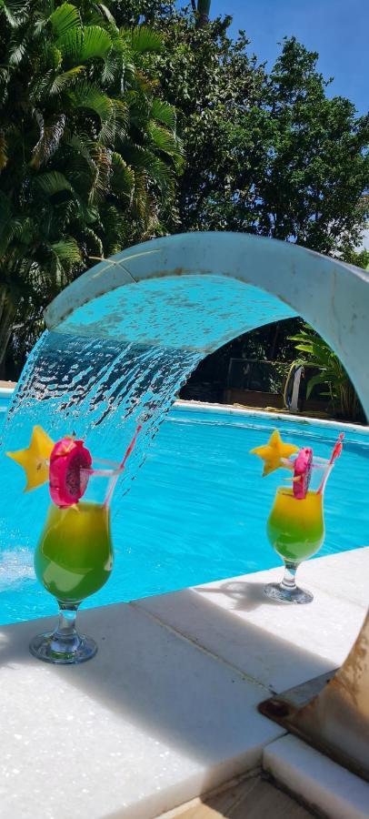 Gite Kaz A Topaze, Piscine, Jardin Tropical サント・ローズ エクステリア 写真