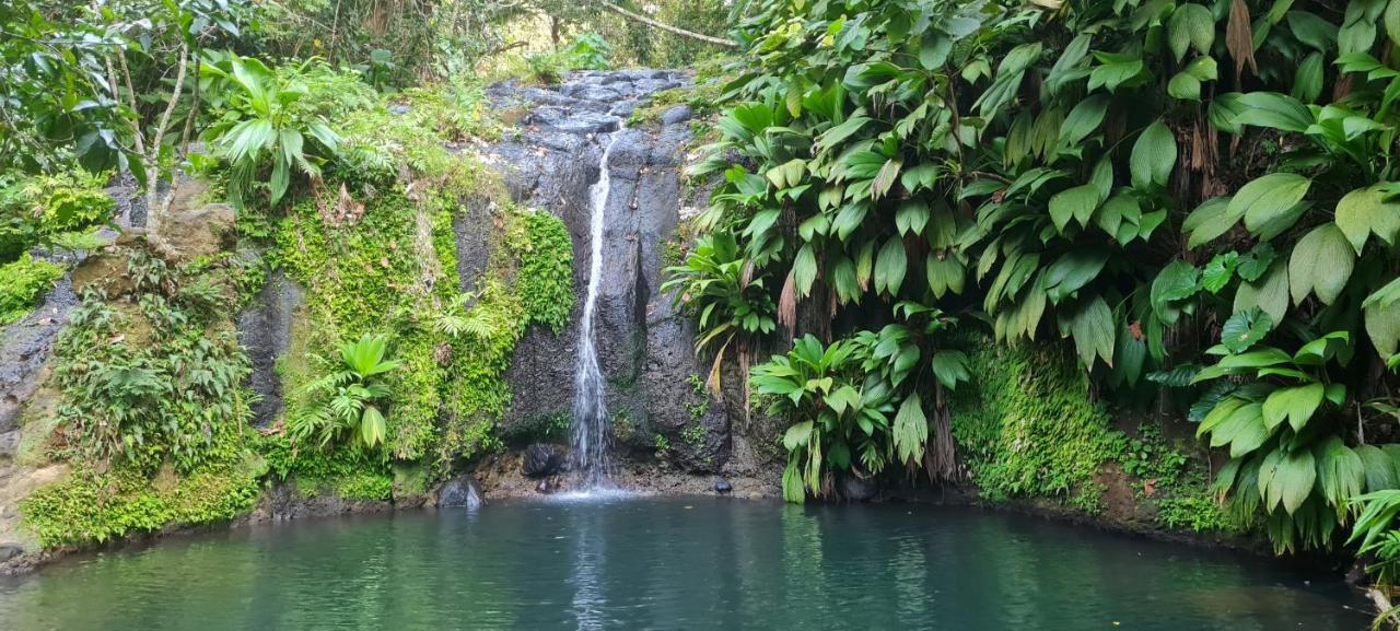 Gite Kaz A Topaze, Piscine, Jardin Tropical サント・ローズ エクステリア 写真