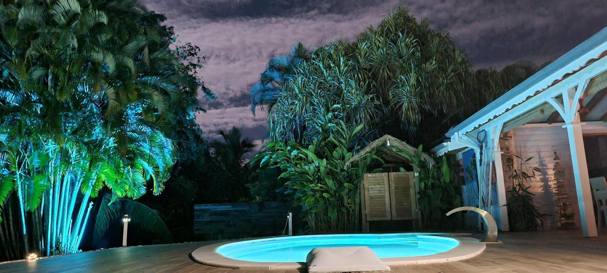 Gite Kaz A Topaze, Piscine, Jardin Tropical サント・ローズ エクステリア 写真