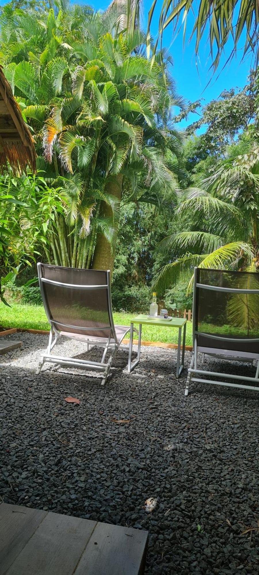 Gite Kaz A Topaze, Piscine, Jardin Tropical サント・ローズ エクステリア 写真