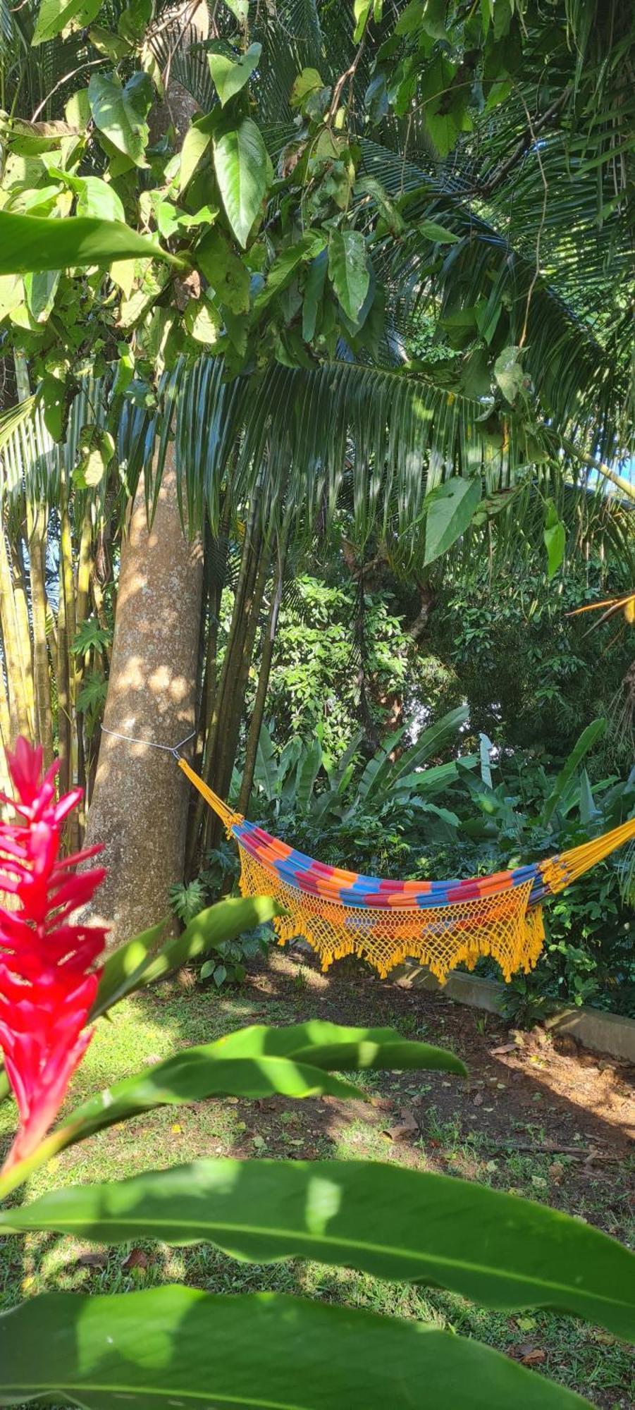 Gite Kaz A Topaze, Piscine, Jardin Tropical サント・ローズ エクステリア 写真